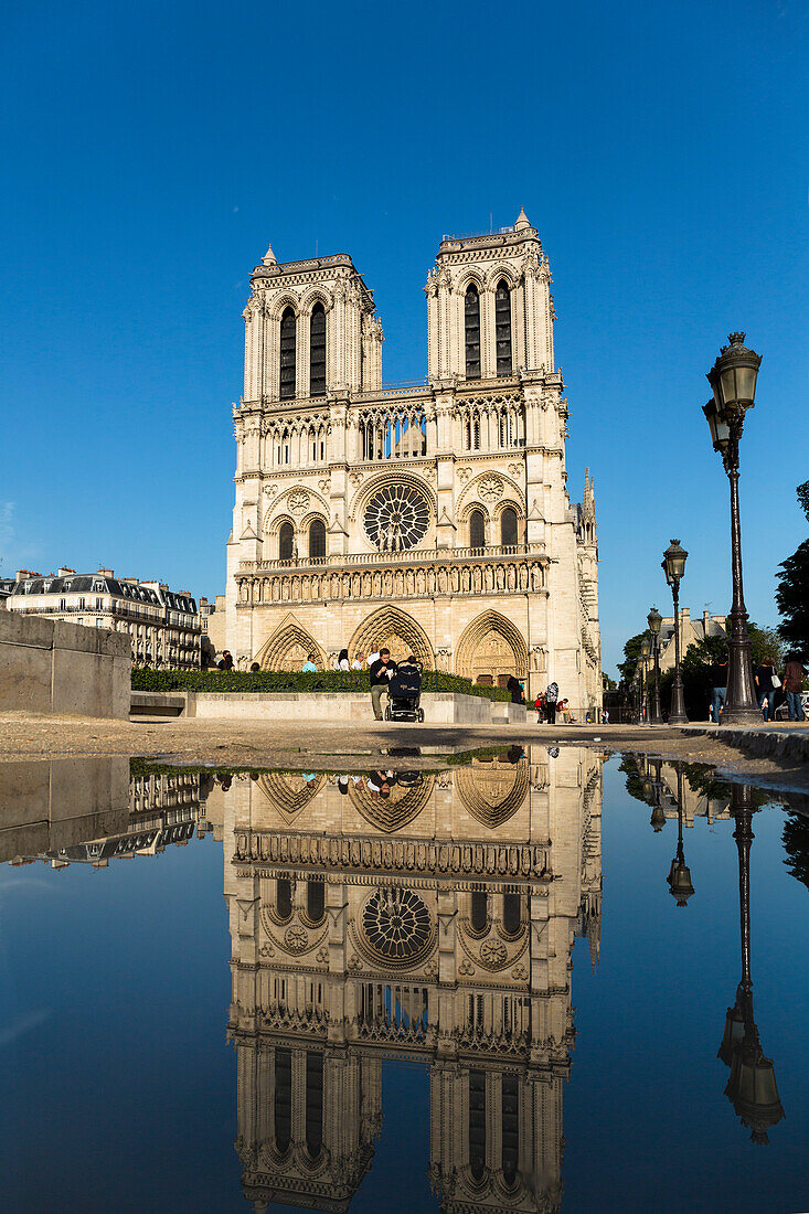 Kathedrale Notre-Dame, Seineinsel, Ile de la cité, Paris, Frankreich