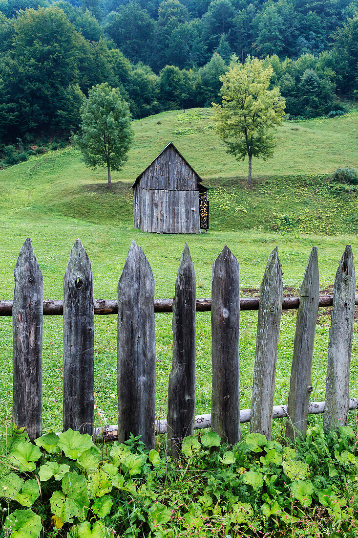 Dilapidated fence and barn in rural farm field