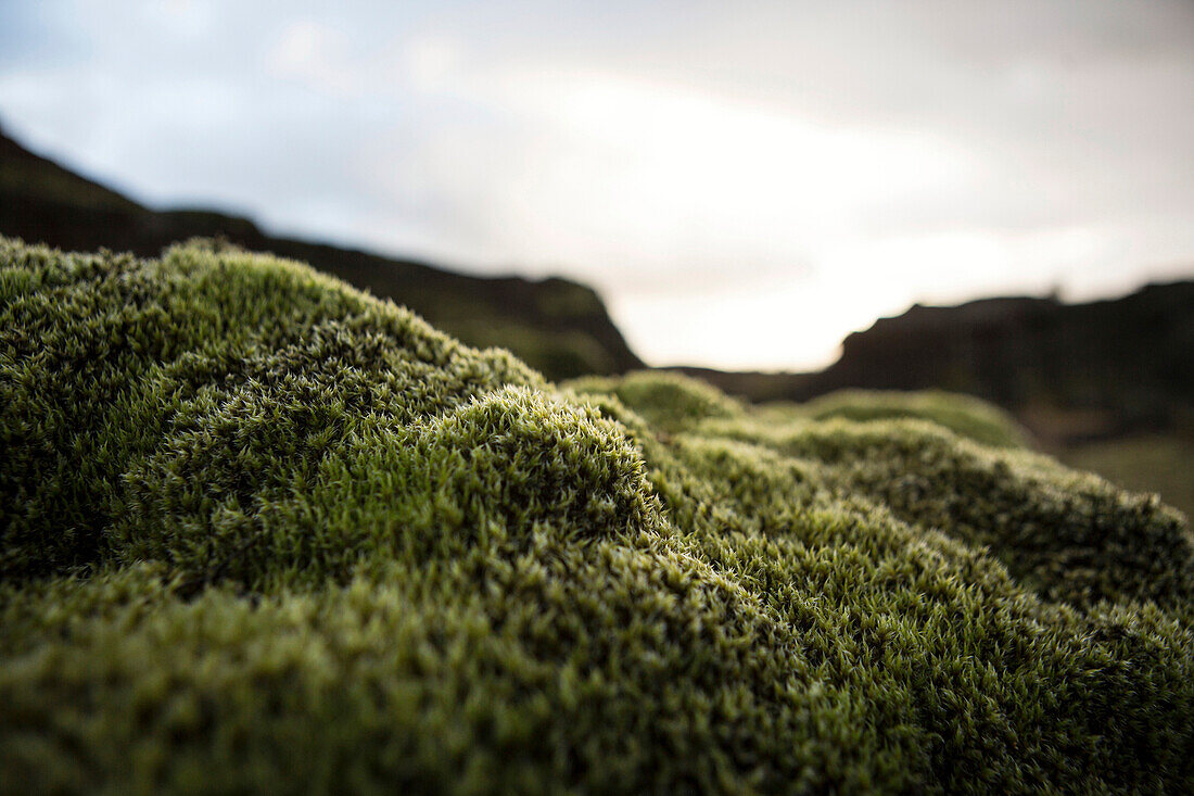 Close up of mossy rock in remote landscape