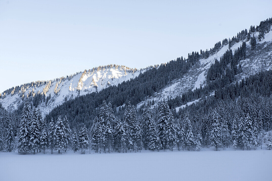 Winterliche und verschneite Landschaft im Kleinwalsertal in Vorarlberg kurz vor Sonnenuntergang, Vorarlberg, Österreich