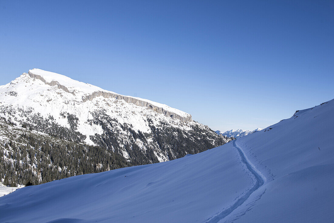 Schwarzwassertal mit Blick auf den hohen Ifen bei Sonnenschein, Vorarlberg, Österreich