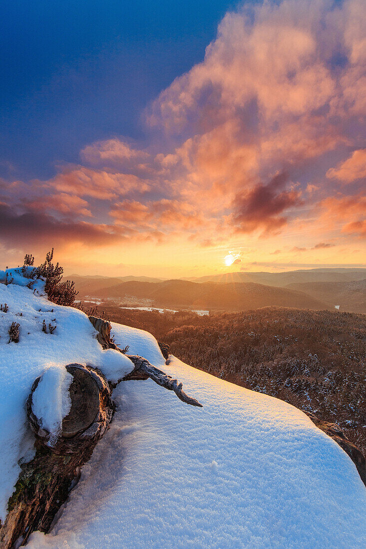 Branch lying in snow, view of Puhlstein, Busenberg, Palatinate Forest, Rhineland-Palatinate, Germany