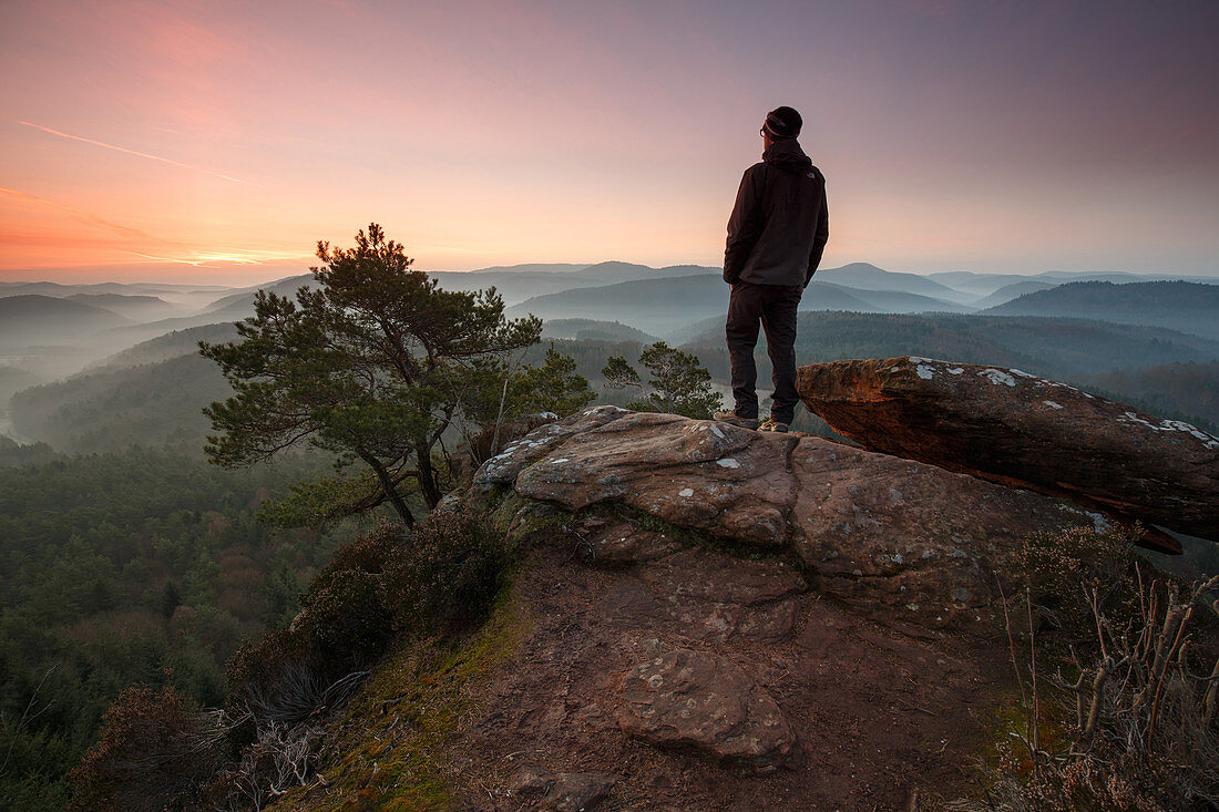 Ein Wanderer auf dem Schlüsselfels zum Sonnenaufgang, Busenberg, Pfälzer Wald, Rheinland-Pfalz, Deutschland