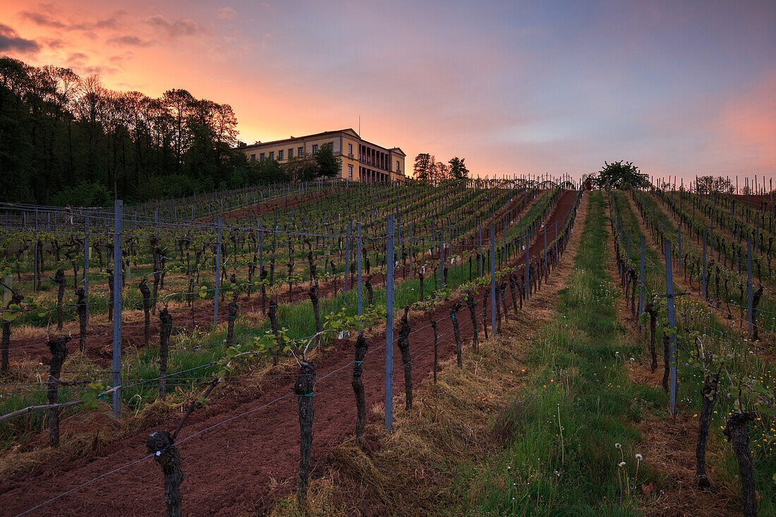 Sonnenuntergang hinter der Villa Ludwigshöhe in Edenkoben, Südliche Weinstraße, Rheinland-Pfalz, Deutschland