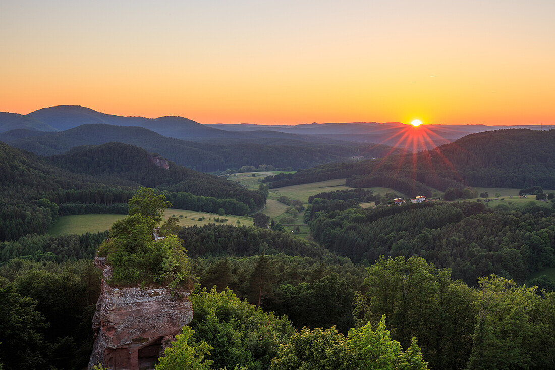 Ausblick auf das Dahnerfelsenland vom Drachenfels aus, Pfälzer Wald, Rheinland-Pfalz, Deutschland