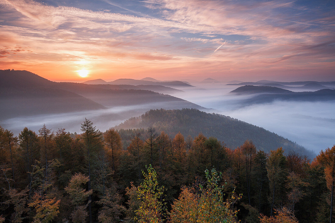 Nebeliger Sonnenaufgang auf dem Kirschfelsen, Blick über den Pfälzerwald, Pfälzer Wald, Rheinland-Pfalz, Deutschland