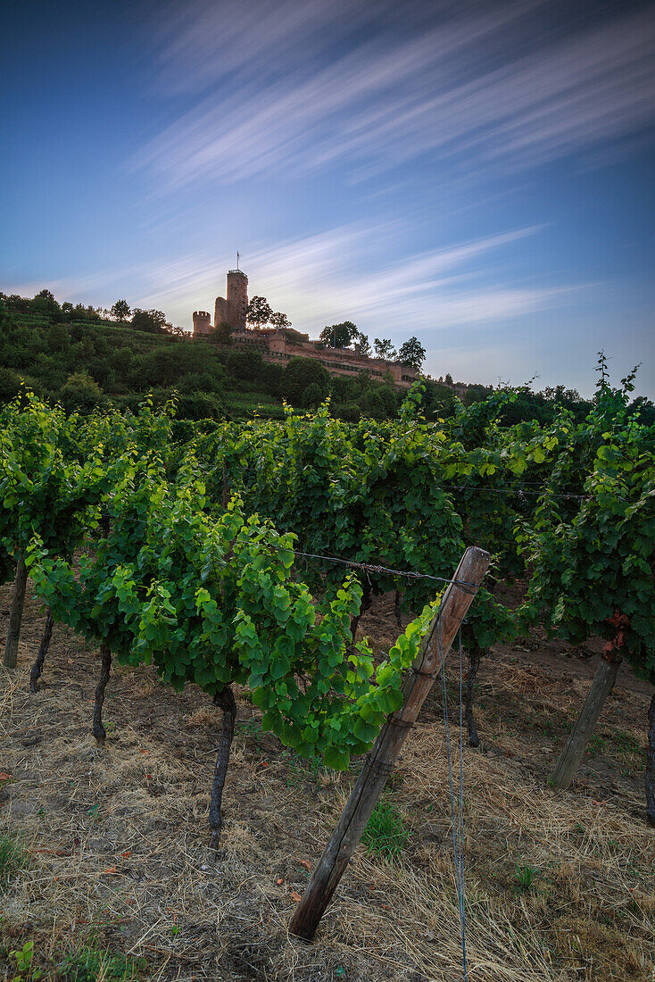 Moving clouds behind Wachtenburg castle near Wachenheim, Rhineland-Palatinate, Germany