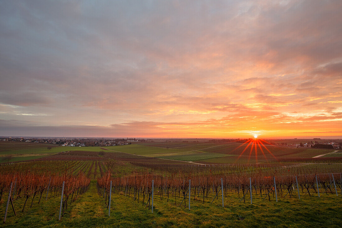 Sonnenaufgang in der Rheinebene bei Landau, Rheinland-Pfalz, Deutschland