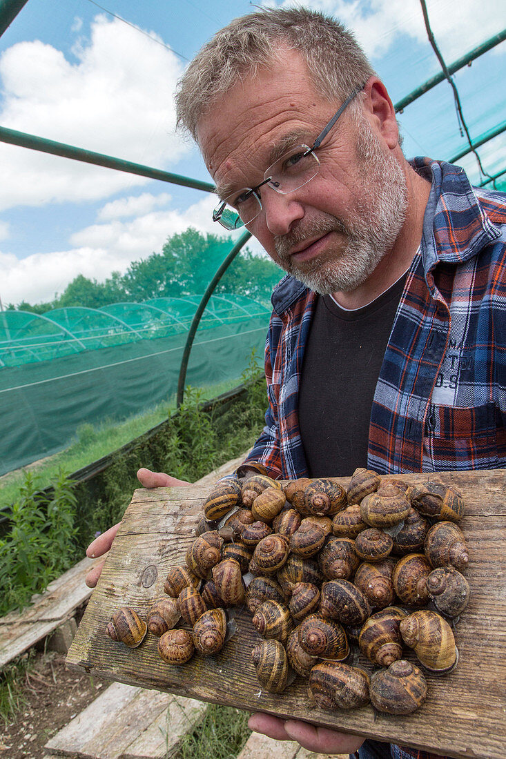 philippe couvreur, snail farmer, produce of the land, preaux-du-perche, france
