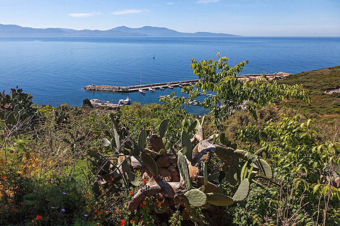 view of cargese, southern corsica (2a), france