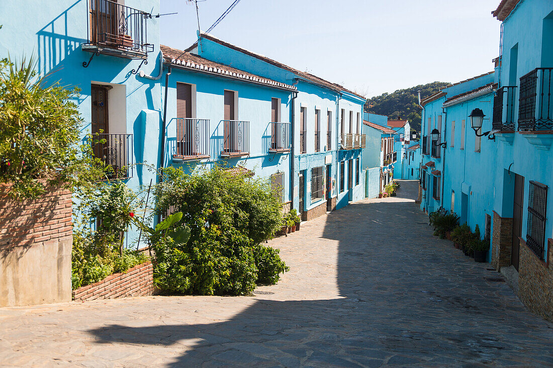 juzcar is the village of the smurfs. for the film shoot, all the whitewashed houses in the town, a white village (pueblo blanco), were panted blue. after the filming of the movie the townspeople decided to keep the blue color for the tourists, costa del s