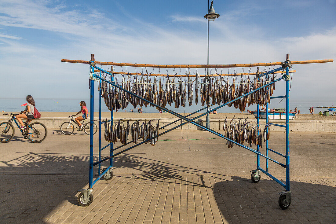 fish drying on the beach of estepona, costa del sol, the sunny coast, andalusia, spain