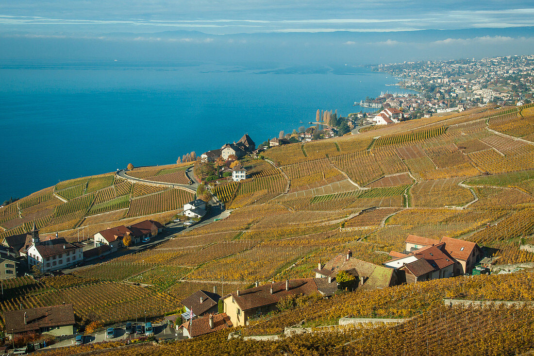 vue generale des vignes de la region viticole du lavaux avec le lac leman en fond, region inscrite sur la liste du patrimoine mondial de l'unesco depuis 2007, canton de vaud, suisse