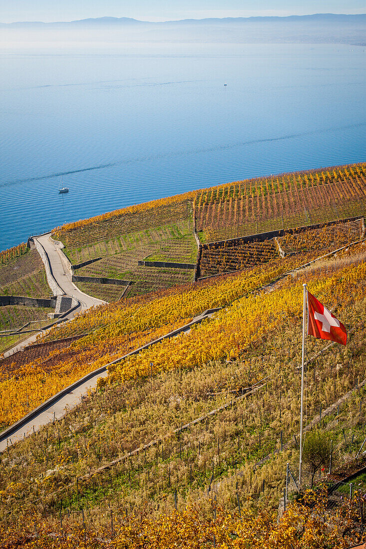 perspective sur les vignes de la region viticole du lavaux depuis le village de grandvaux avec le lac leman en fond et un drapeau suisse flottant au vent, region inscrite sur la liste du patrimoine mondial de l'unesco depuis 2007, grandvaux, canton de vau