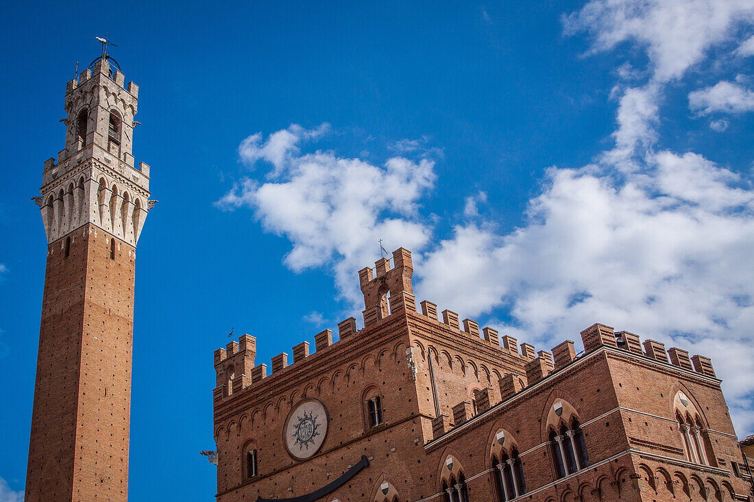 sommet de la torre del mangia adjacente au palazzo pubblico, piazza del campo, sienne, italie, union europeenne