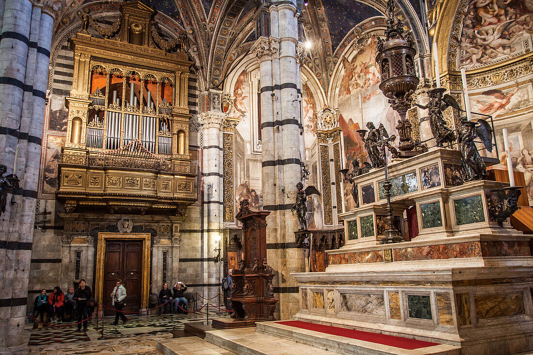 interieur richement decore de la cathedrale notre-dame-de-l'assomption, santa maria assunta, cathedrale de sienne, sienne, italie, union europeenne