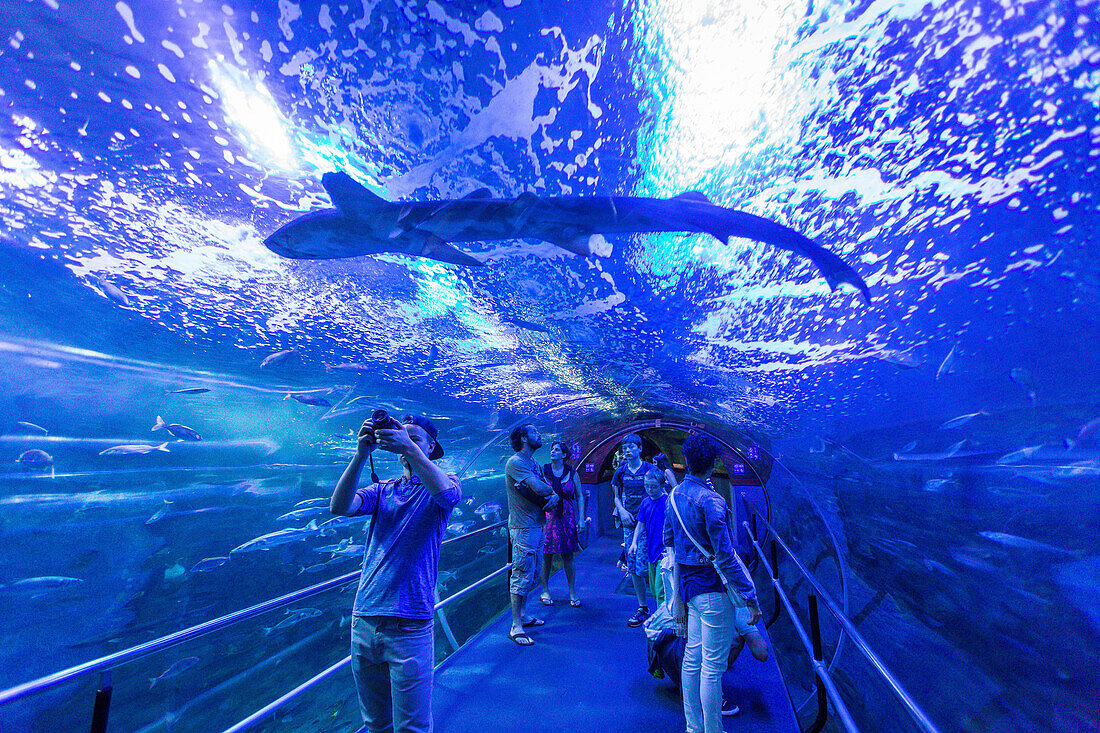 aquarium, san sebastian, donostia, basque country, spain