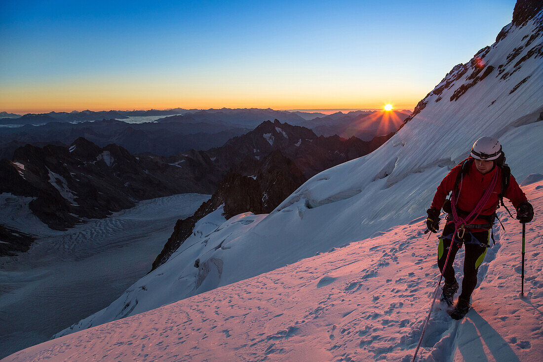 mountain climber roping up the barre des ecrins at sunrise, massif des ecrins, vallouise, hautes-alpes (05), provence-alpes-cote d'azur, paca, france