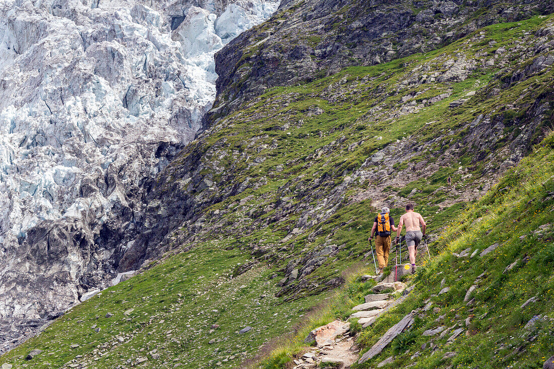 hikers in summer near the glacier and refuge of tre-la-tete, domes de miage, refuge des conscrits, chamonix-mont-blanc, saint-gervais, upper savoy, haute-savoie (74), rhone-alpes, france