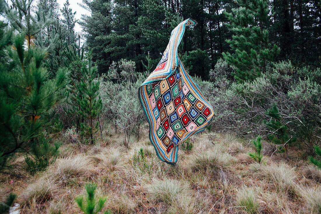 Quilt falling in forest