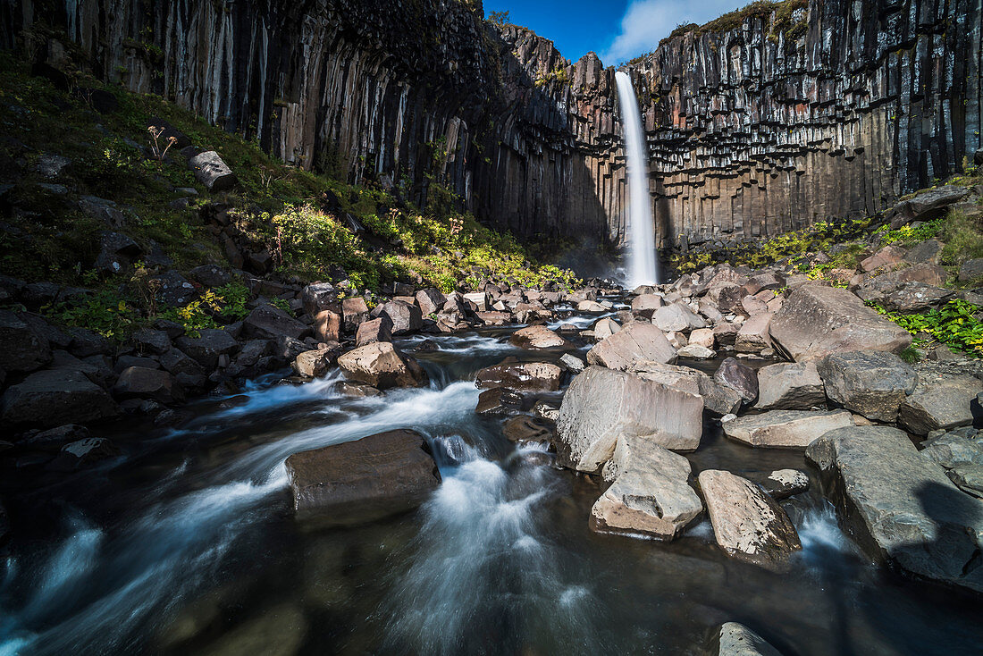 Svartifoss Black Waterfall and the Basalt Columns, Skaftafell, Vatnajokull National Park, South Region of Iceland Sudurland, Iceland, Polar Regions