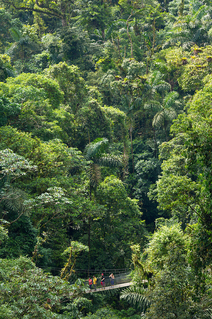 Mistico Arenal Hanging Bridges, Alajuela, Costa Rica, Central America