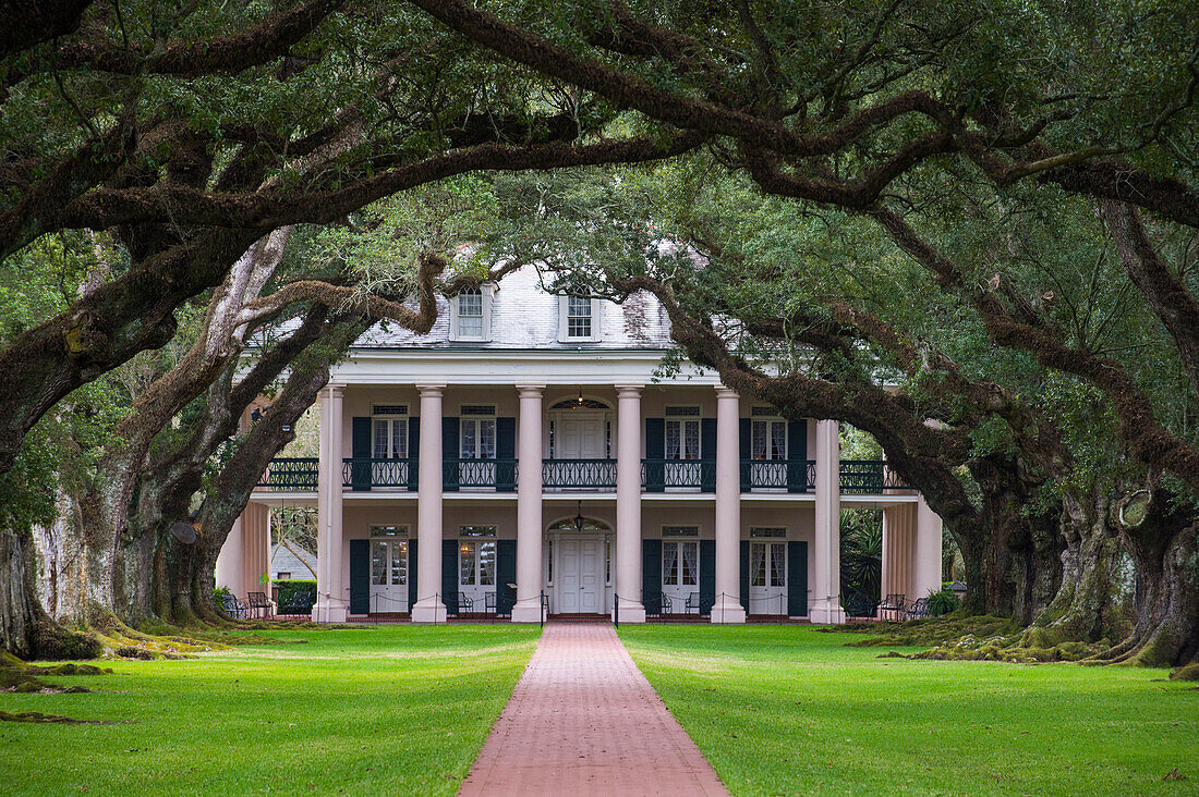 Oak tree alley and planation house in the Oak Alley plantation, Louisiana, United States of America, North America