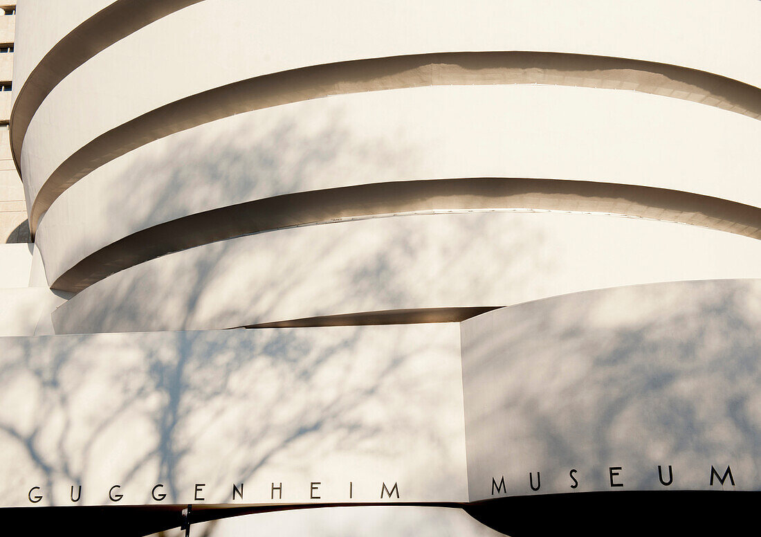 Guggenheim Museum. New York, United States of America, North America