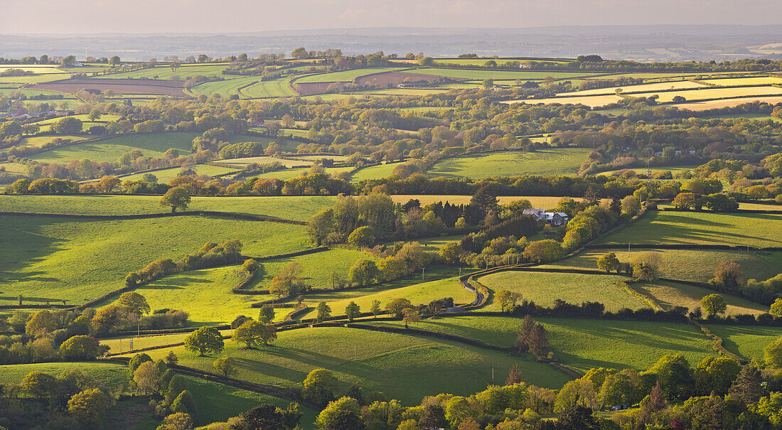 Rolling patchwork countryside, Dartmoor National Park, Devon, England, United Kingdom, Europe
