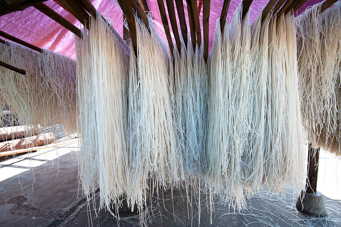 Freshly made rice noodles hanging over bamboo poles to dry, ready for sale, Hsipaw, Shan state, Myanmar Burma, Asia