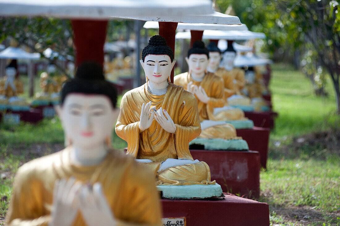 Buddha statues each planted alongside a Bo tree in Maha Bodhi Ta Htaung, 1000 great Bo trees, Monywa township, Sagaing Division, Myanmar Burma, Asia
