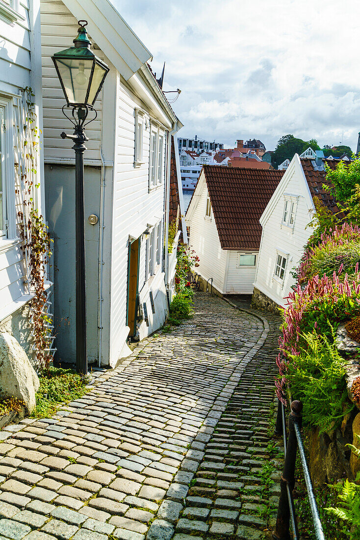 Old Stavanger Gamle Stavanger comprising about 250 buildings dating from early 18th century, mostly small white cottages, Stavanger, Rotaland, Norway, Scandinavia, Europe