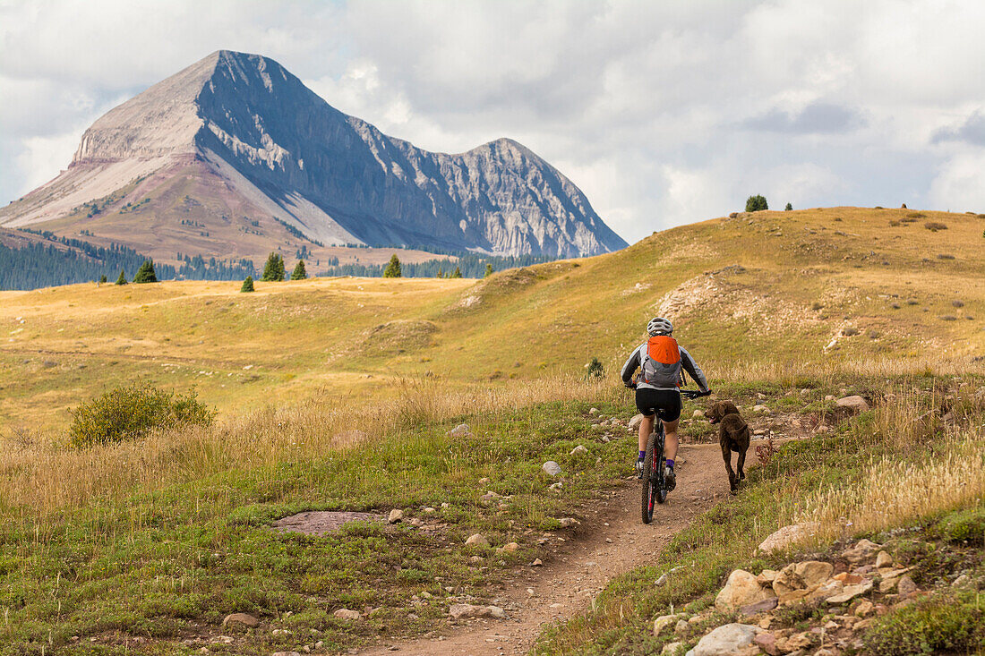 a Woman and her dog mountain  biking the Molas Pass section of the Colorado Trail with Engineer Mountain in the background, San Juan National Forest, Silverton, Colorado.