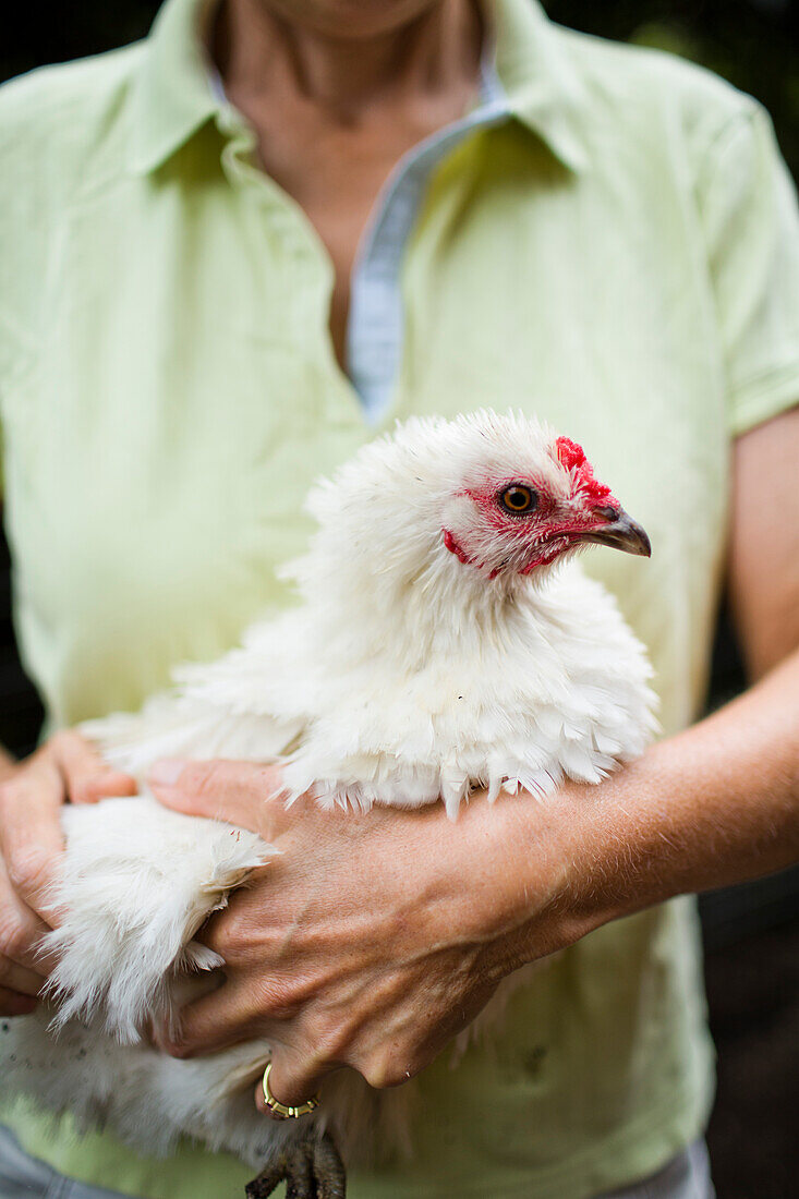 Backyard coops are growing in popularity throughout the country as people are wanting to source their food locally. Eggs come daily and kids enjoy the connection to the animals.