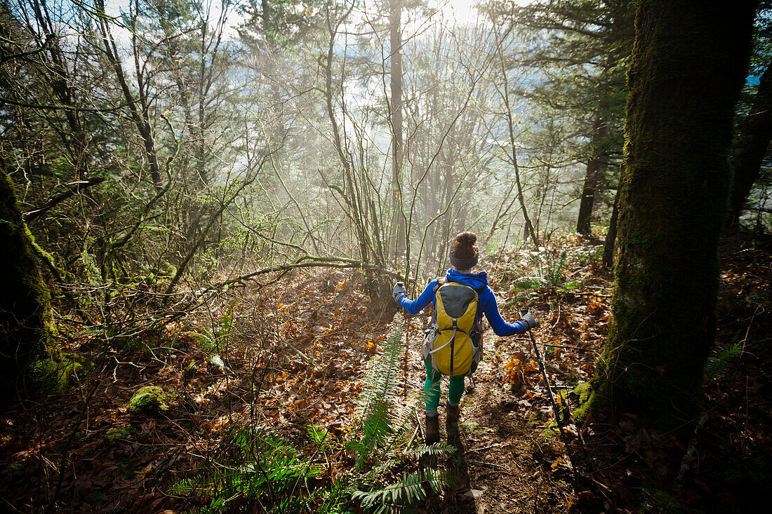 A young active woman hiking through a dense foggy forest.