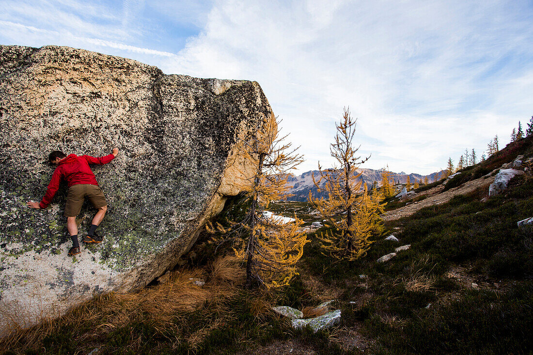 A young man climbs on a rock alongside the colorful larch trees and steep mountains of the Cascades in the Pasayten Wilderness in Washington.