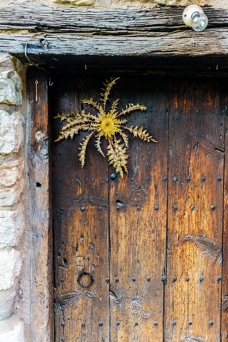 Detail of a decor flower on a door at backcountry house, around Berga, Spain