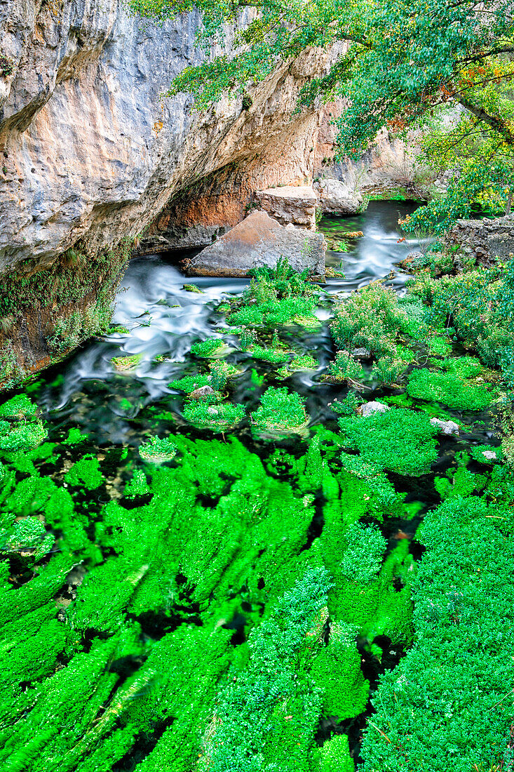 The river is a short river Escabas the central-part of Spain, a tributary of the Guadiela located north of the province of Cuenca, in mountains. It has a length of 60 km
