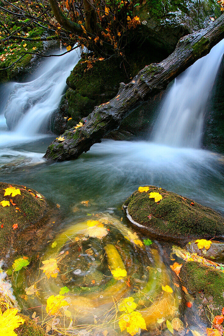 The Somiedo River is a river of Asturias, Spain. It has a length of 22 km. Born in the Asturian slope of the Port of Somiedo, in the homonymous municipality and flows into the town of Aguasmestas, on the border with the municipality of Belmonte de Miranda