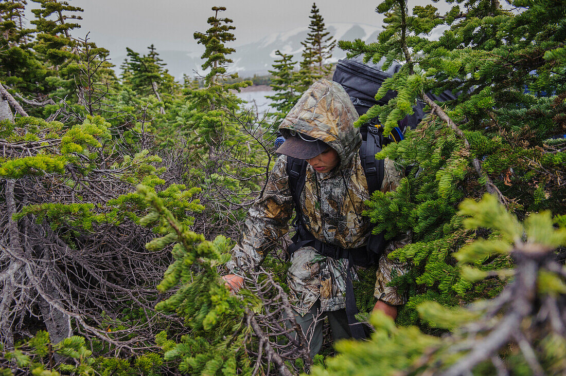 A boy struggles through small pine trees in a rain storm on the third and stormy day of Troop 693's six day backpack trip through the High Uintas Wilderness Area, Uintas Range, Utah