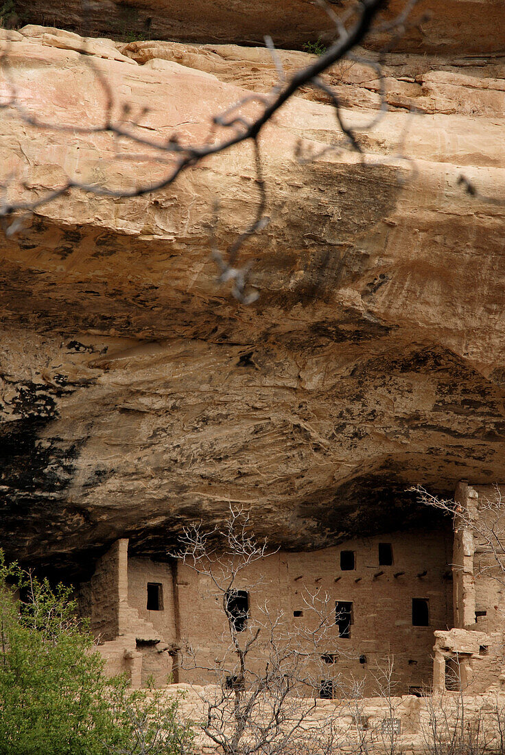 Mesa Verde National Park, a native merican site knowen for it's expansive cliff dwellings, in Southwest Colorado.