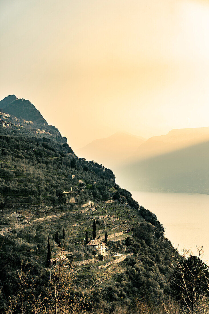 Sonnenaufgang im Nebel, Tignale, Gardasee, Alpen, Lombardei, Italien