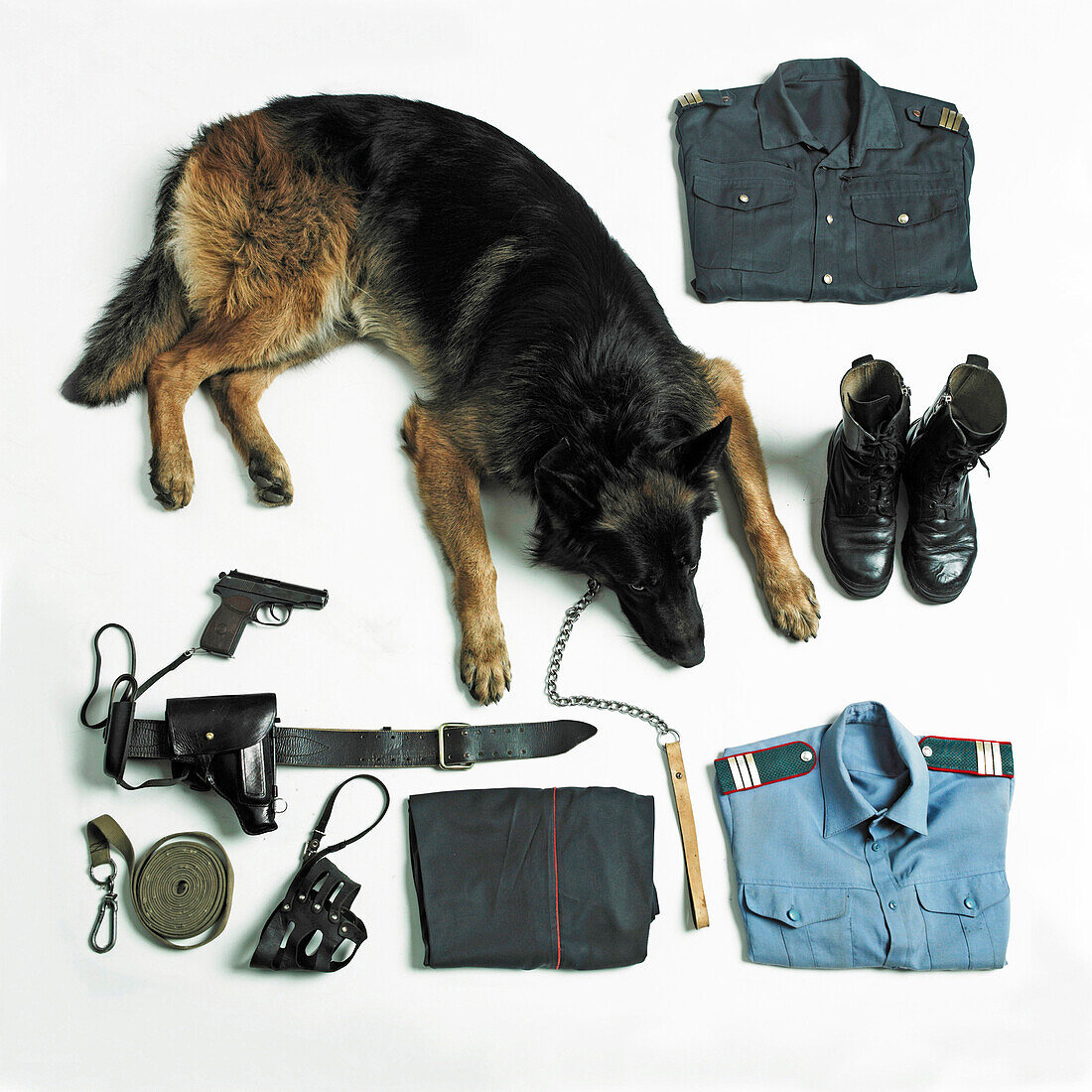 Organized police uniform and equipment with dog