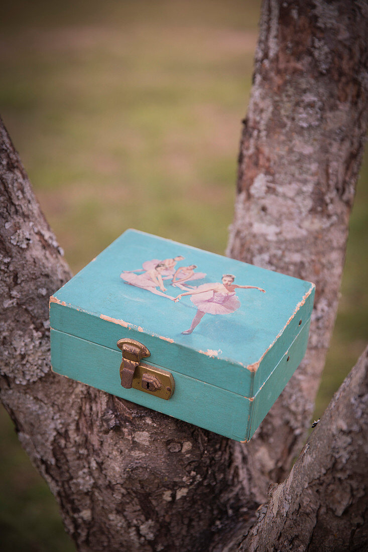 Vintage Jewelry Box on Tree Branch