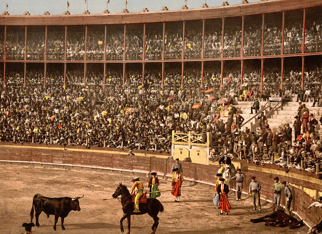 Bullfight, Barcelona, Spain, Photochrome Print, circa 1900
