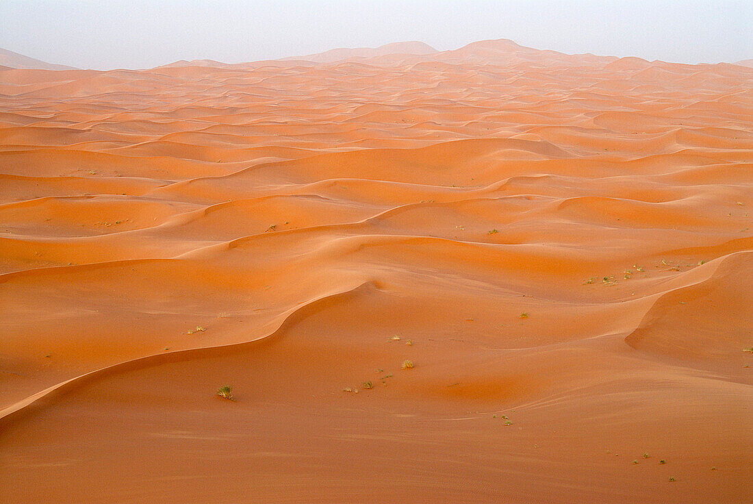 Scenic view of Erg Chebbi desert, Morocco