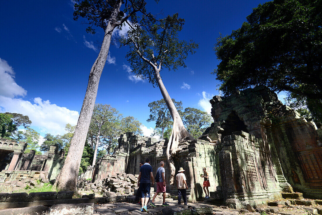 Preah Khan Tempel, Archäologischer Park Angkor bei Siem Reap, Kambodscha, Asien