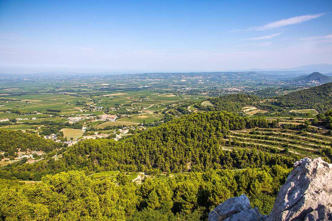 gigondas and vineyards, vaucluse (84), paca, provence alpes cote d'azur, france