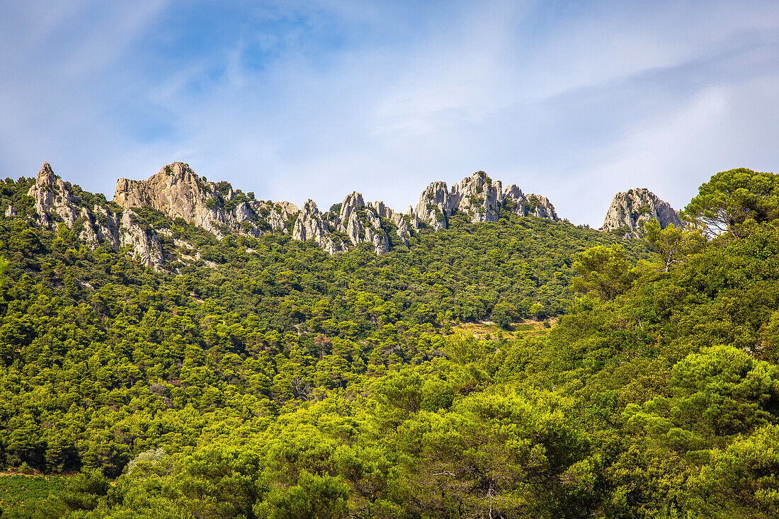 dentelles de montmirail, vaucluse (84), paca, provence alpes cote d'azur, france