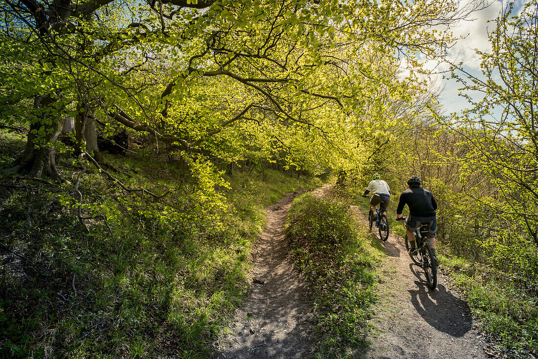 Cycling in the english countryside Tring, Borough of Dacorum, Hertfordshire, England